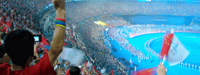 Paralympic Fan Bird's Nest